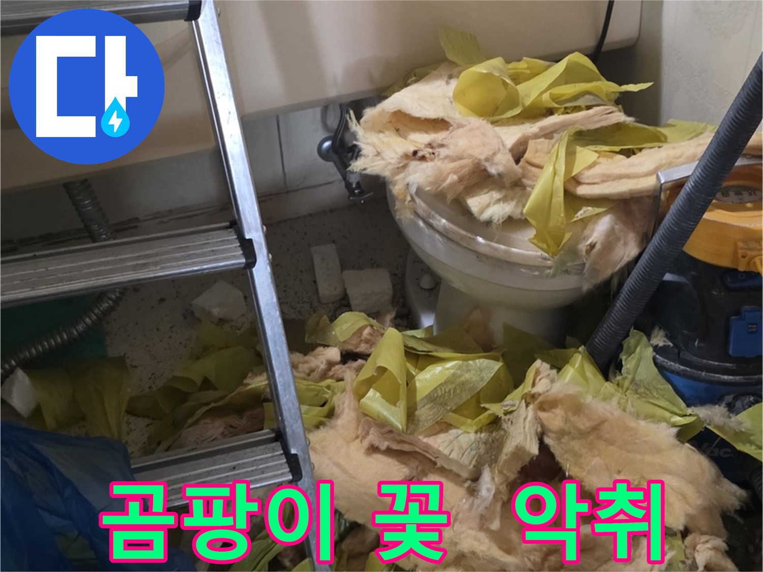새절역 누수 현장 - 곰팡이 꽃 핀 보온재와 악취