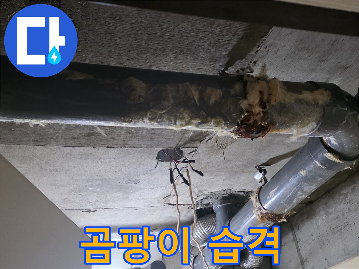 새절역 현대아파트 - 낡은 배관과 곰팡이의 습격, 누수 위험을 경고합니다