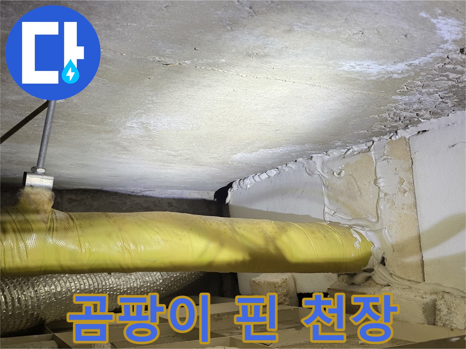새절역 현대아파트 누수 - 곰팡이로 오염된 천장 - 누수 피해의 심각성을 보여줍니다.