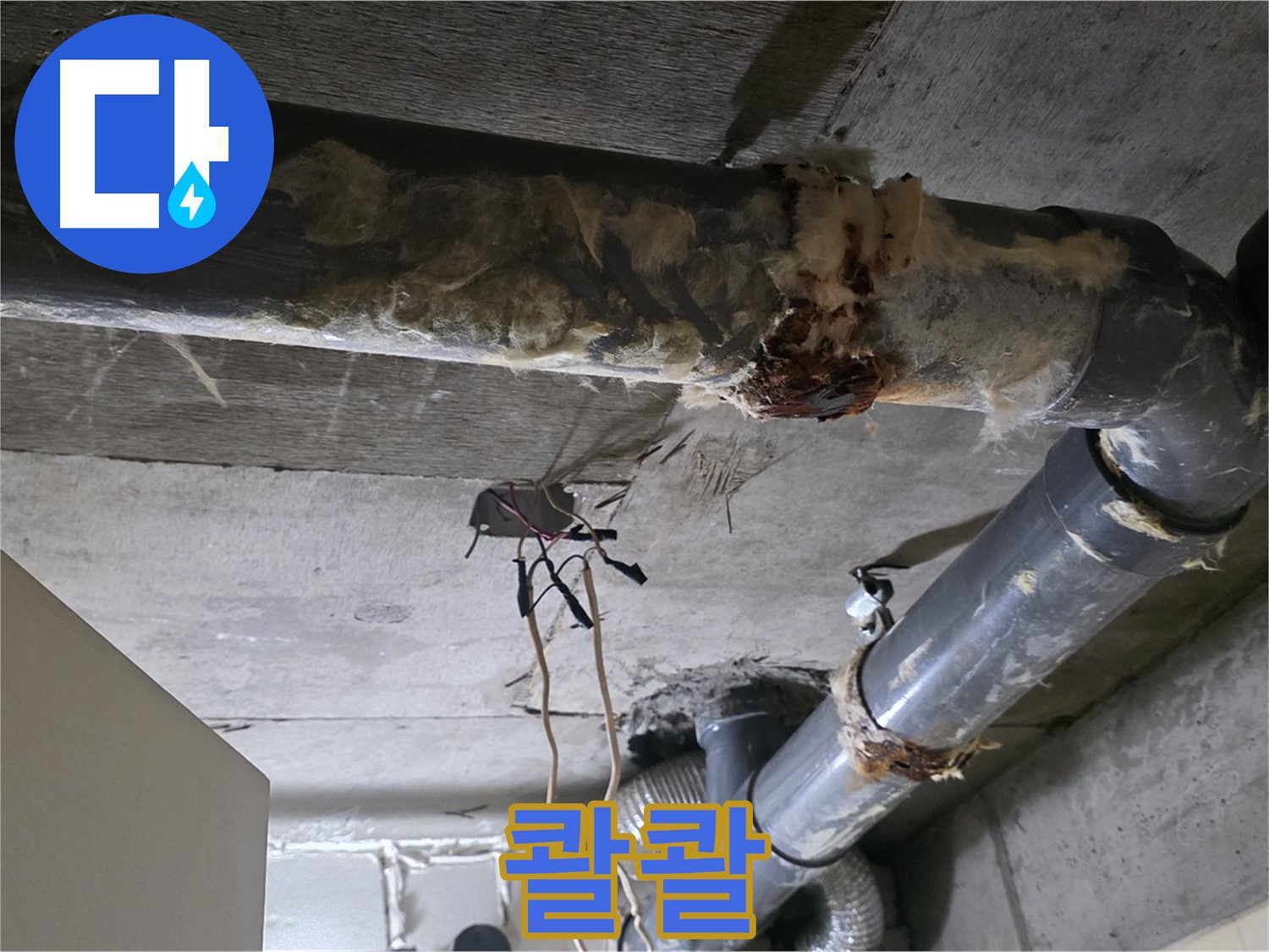 새절역 현대아파트 누수 - 오수 배관 파손 누수 해결 완료 - 물 멈춤