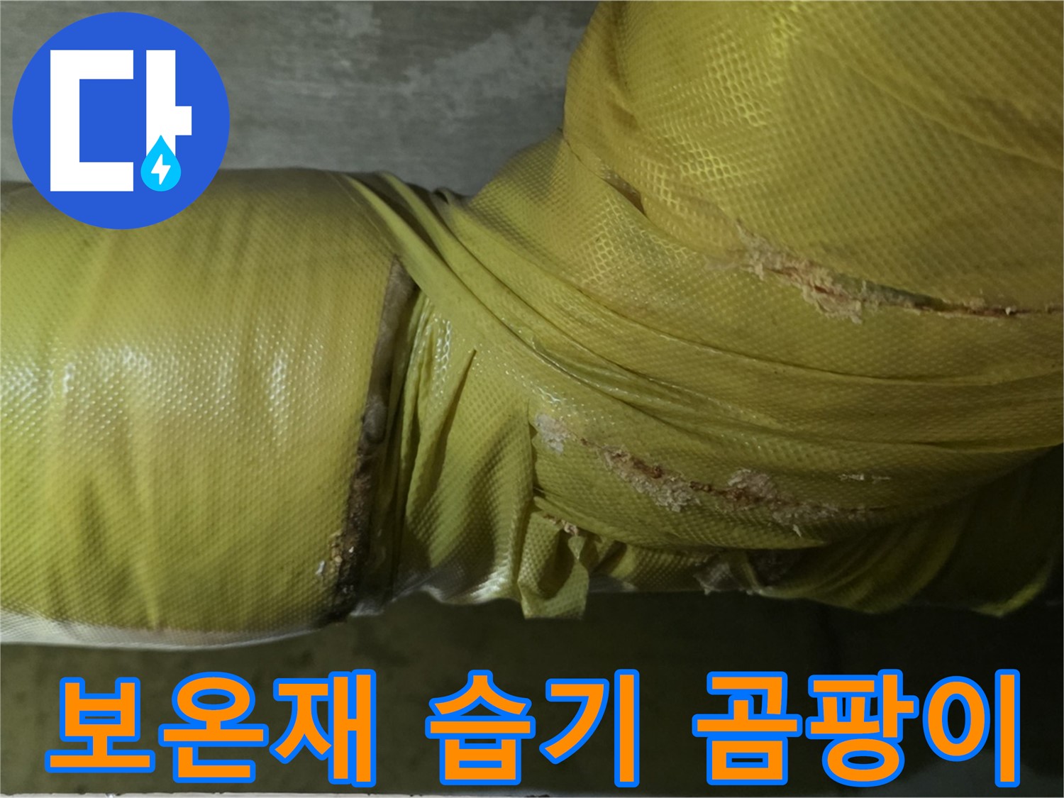 보온재 속 습기 - 곰팡이 냄새 유발, 건강 위협
