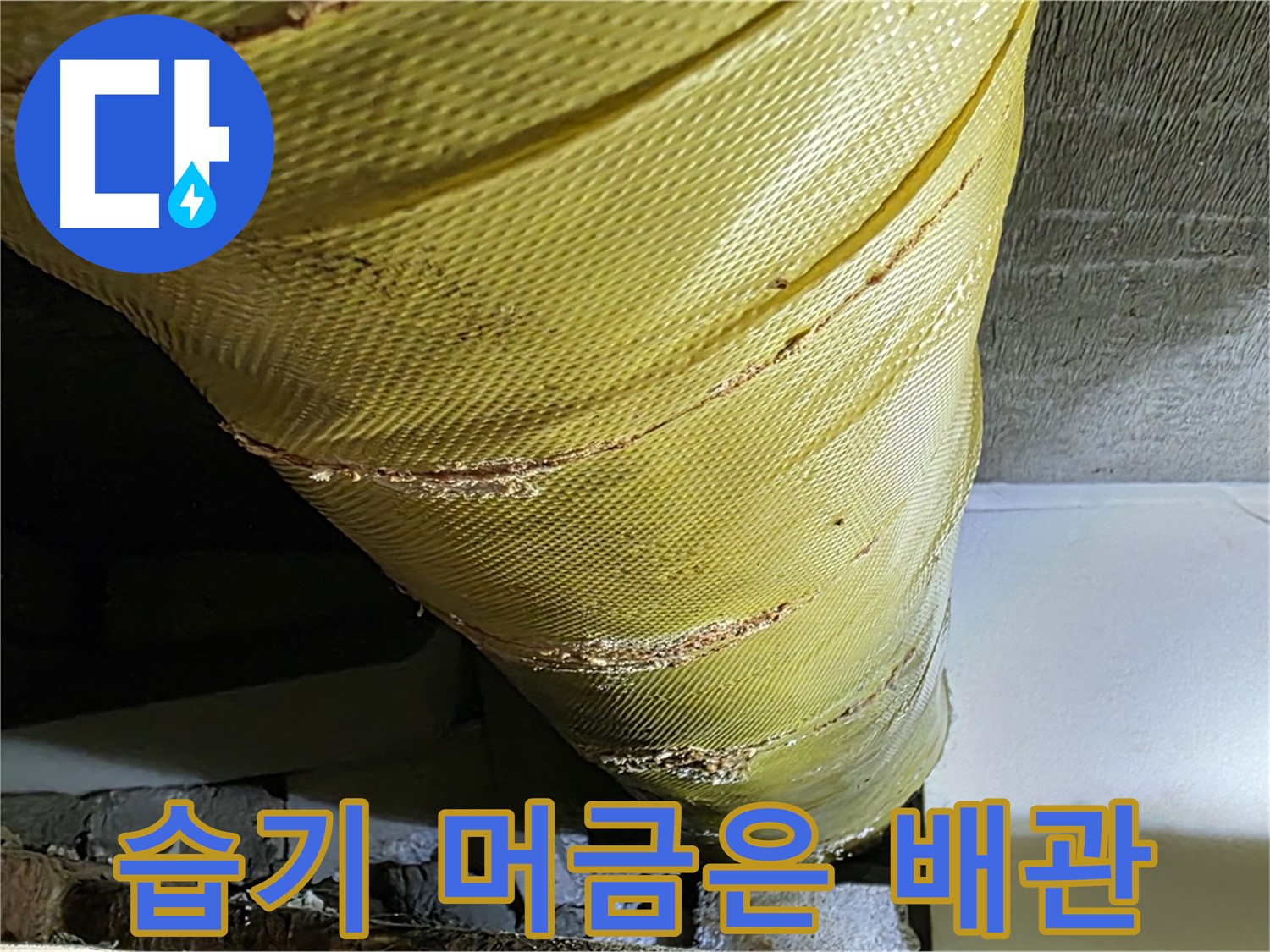 습기 머금은 배관 - 낡은 단열재 - 곰팡이 위험