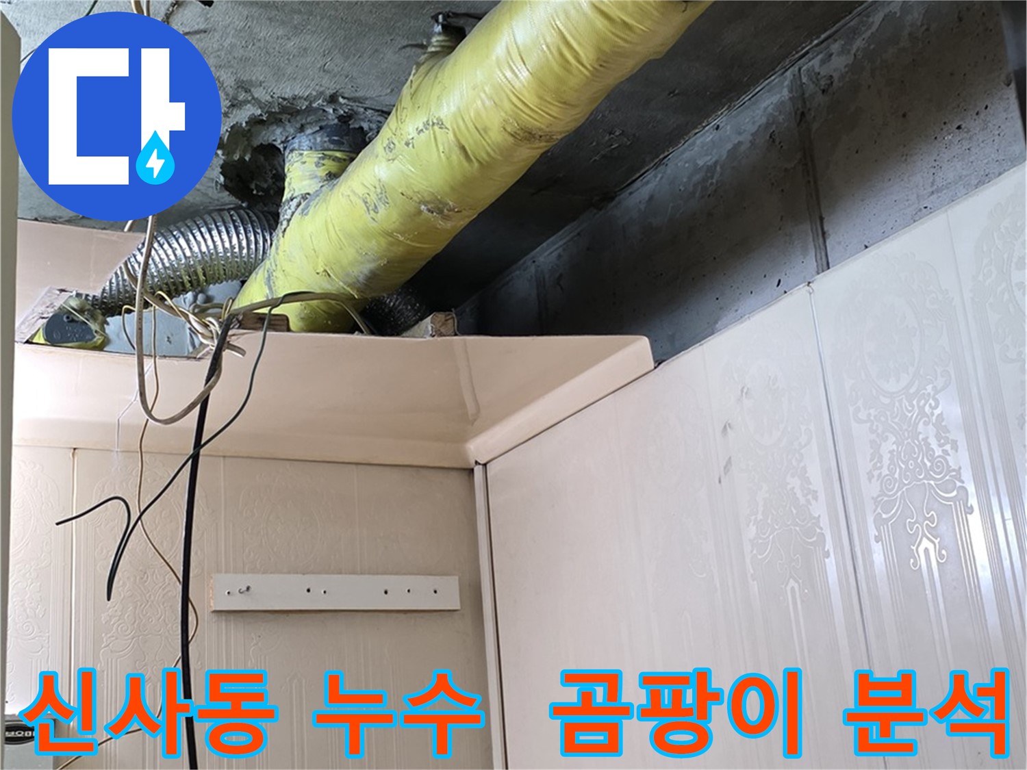신사동 누수 - 배관 주변의 습기 및 곰팡이 발생 원인 심층 분석