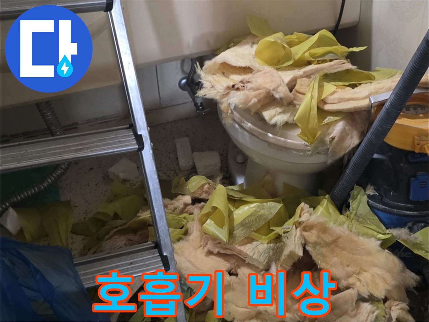 신사동 누수 현장 - 곰팡이 포자 가득한 낡은 보온재 - 호흡기 건강 위협