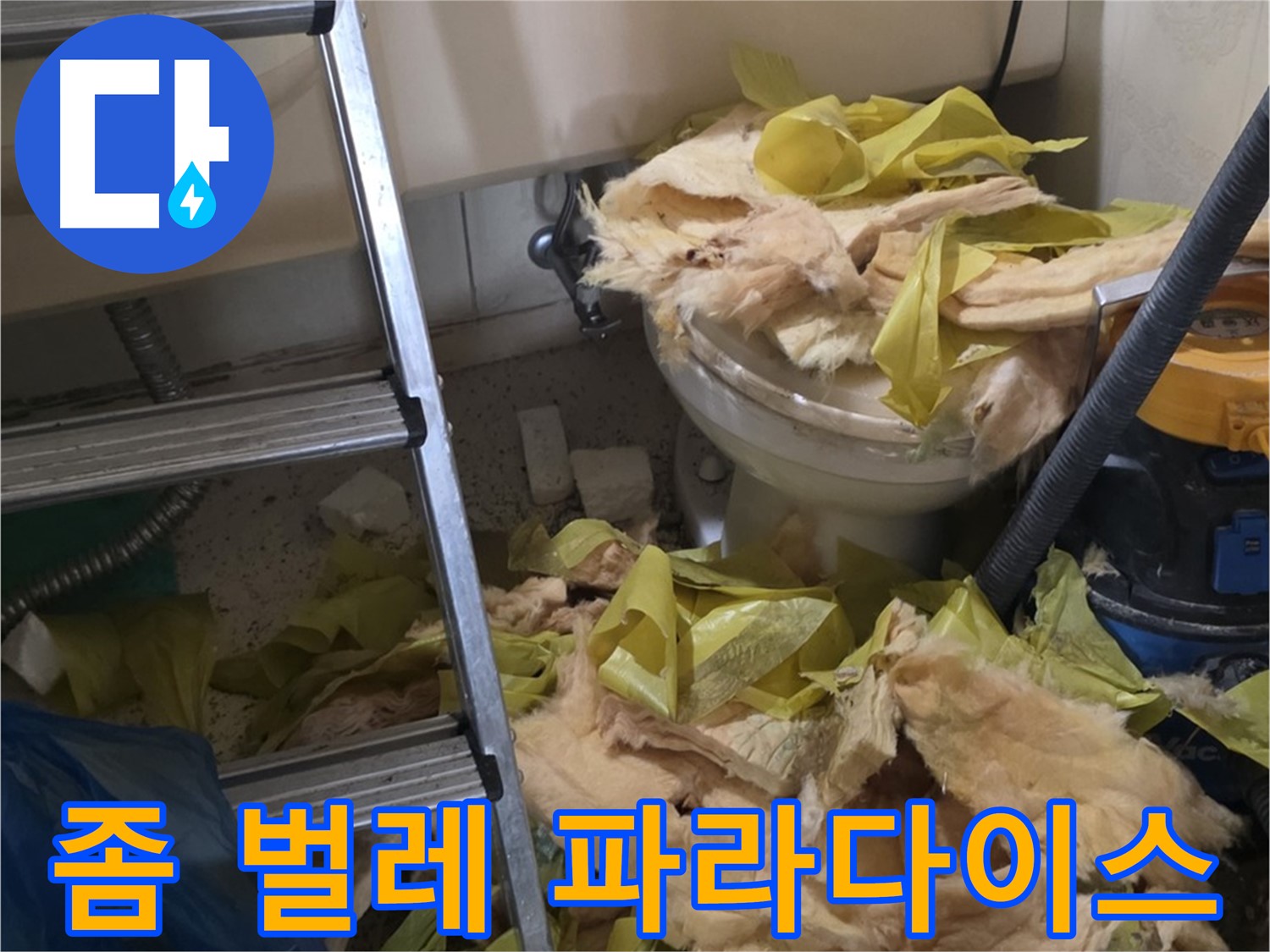 신사동 누수 현장 - 낡은 보온재 속 좀 벌레 서식 - 혐오
