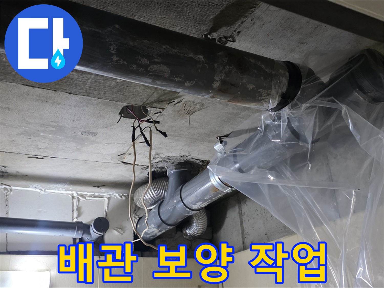신사동 누수 현장 - 배관 교체 전 오염 방지를 위한 꼼꼼한 보양 작업
