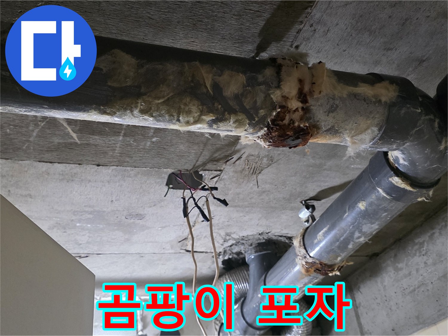 신사동 새절역현대아파트 누수 - 곰팡이 포자가 퍼지는 낡은 오수 배관 보온재 - 곰팡이 확산 방지가 중요합니다