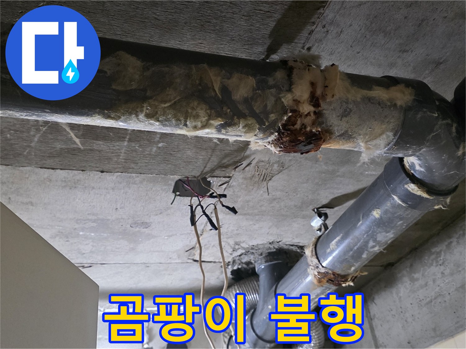 신사동 새절역현대아파트 누수 - 곰팡이와 함께 찾아온 오수 배관 파손 긴급 수리