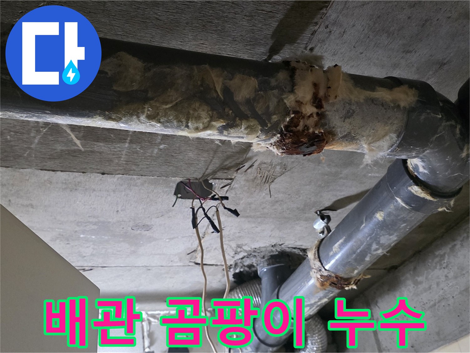 신사동 새절역현대아파트 누수 - 오수 배관 누수로 인한 곰팡이