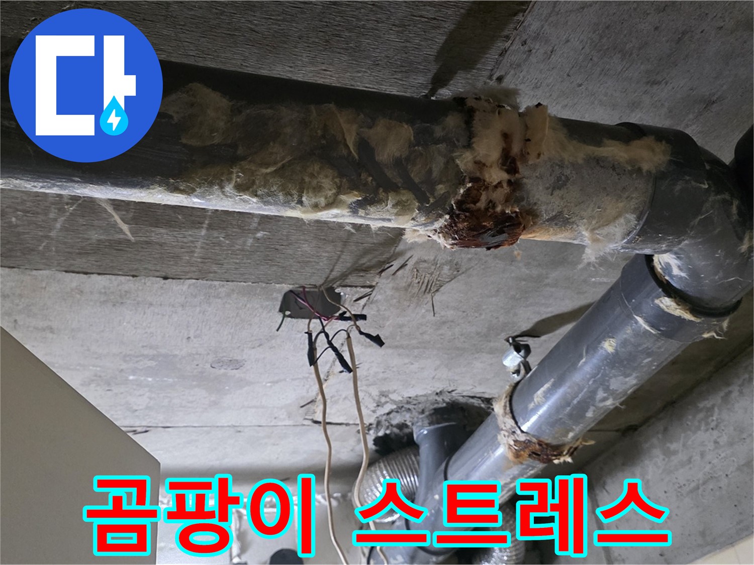 신사동 현대아파트 누수 - 곰팡이와 함께 오수 배관 연결부 똑똑 떨어지는 누수 - 스트레스 해소