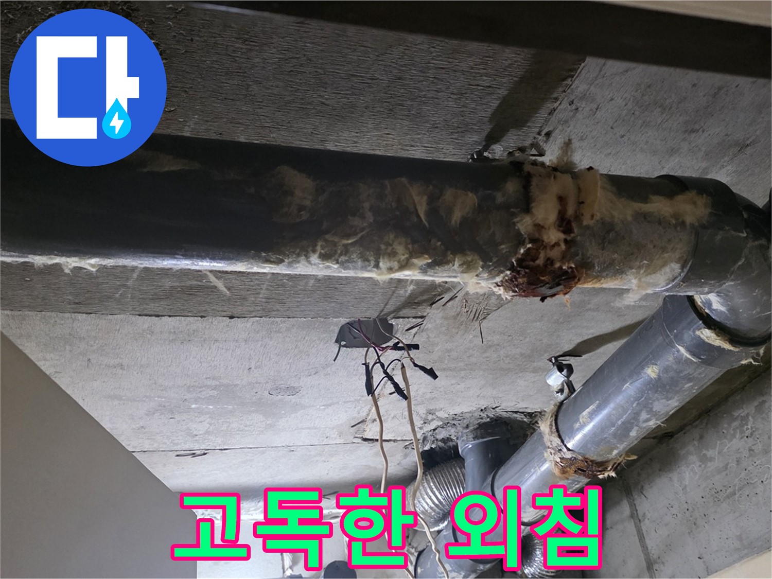 신사동/새절역 - 낡은 보온재 속에 숨겨진 배관의 고독한 외침, 이제 들어주세요