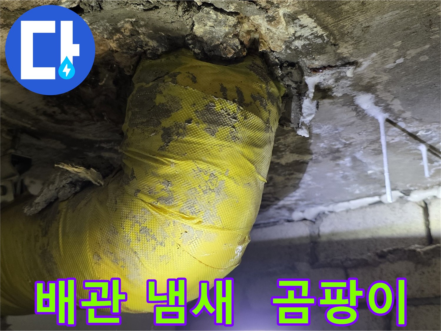 썩어가는 노란 배관 악취 - 은평구 누수, 건강 파괴, 곰팡이 소굴, 24시 긴급 점검!