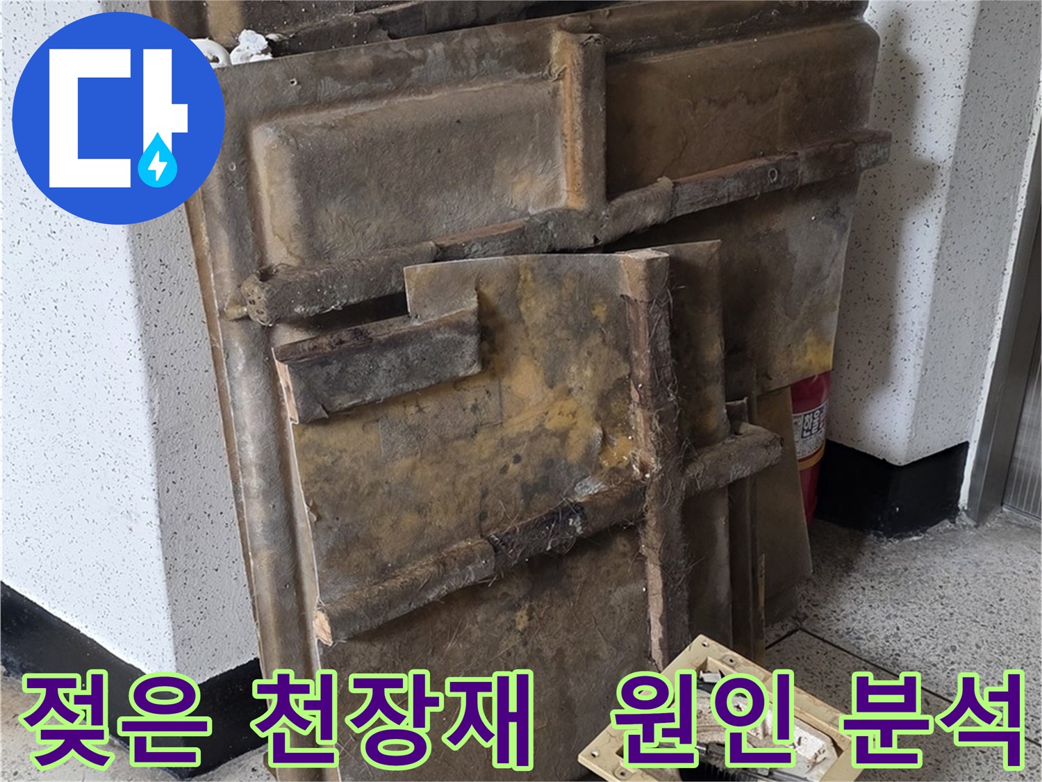 젖은 천장재와 조명 - 원인 분석 후 맞춤 해결