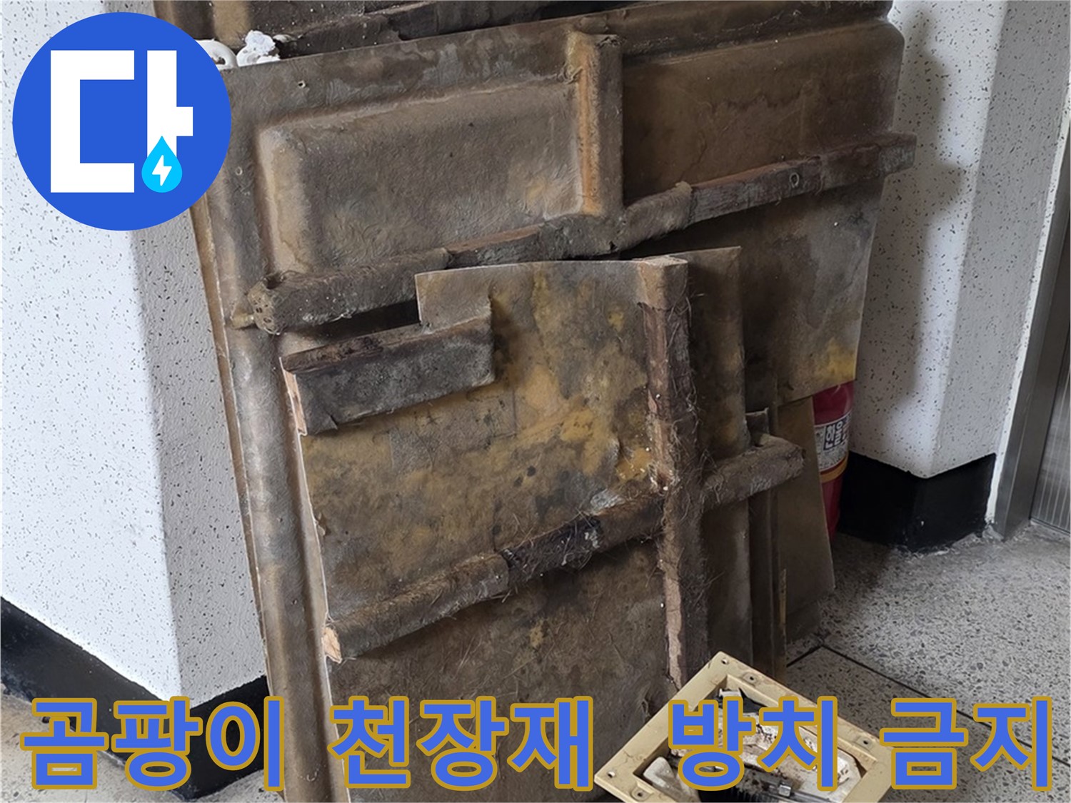 곰팡이 핀 천장재와 조명 - 방치하면 안 돼요!