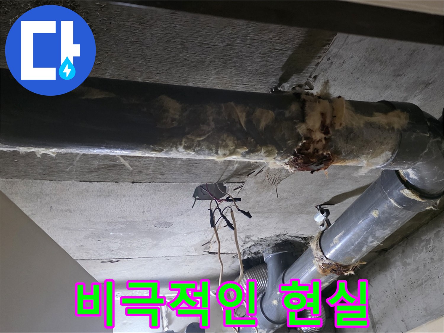 은평구 신사동 - 곰팡이 슨 보온재와 젖어버린 배관, 비극적인 현실입니다