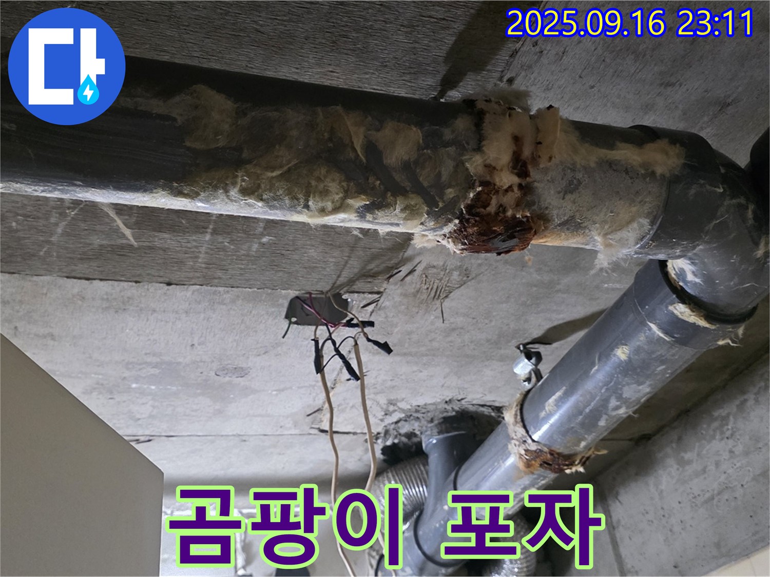 은평구 신사동 새절역 현대아파트 누수 - 곰팡이 포자가 가득한 누수 현장을 확인하세요.
