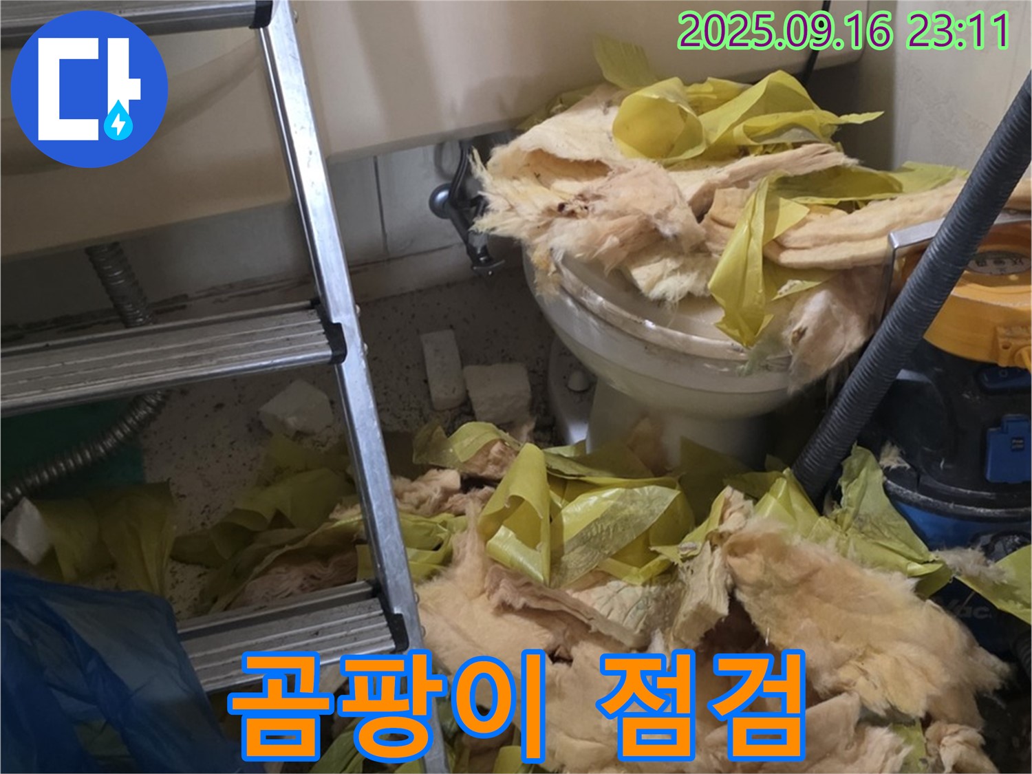 은평구 신사동 새절역 현대아파트 누수 - 곰팡이 핀 보온재 상태를 확인 중입니다 - 문제가 심각하네요.