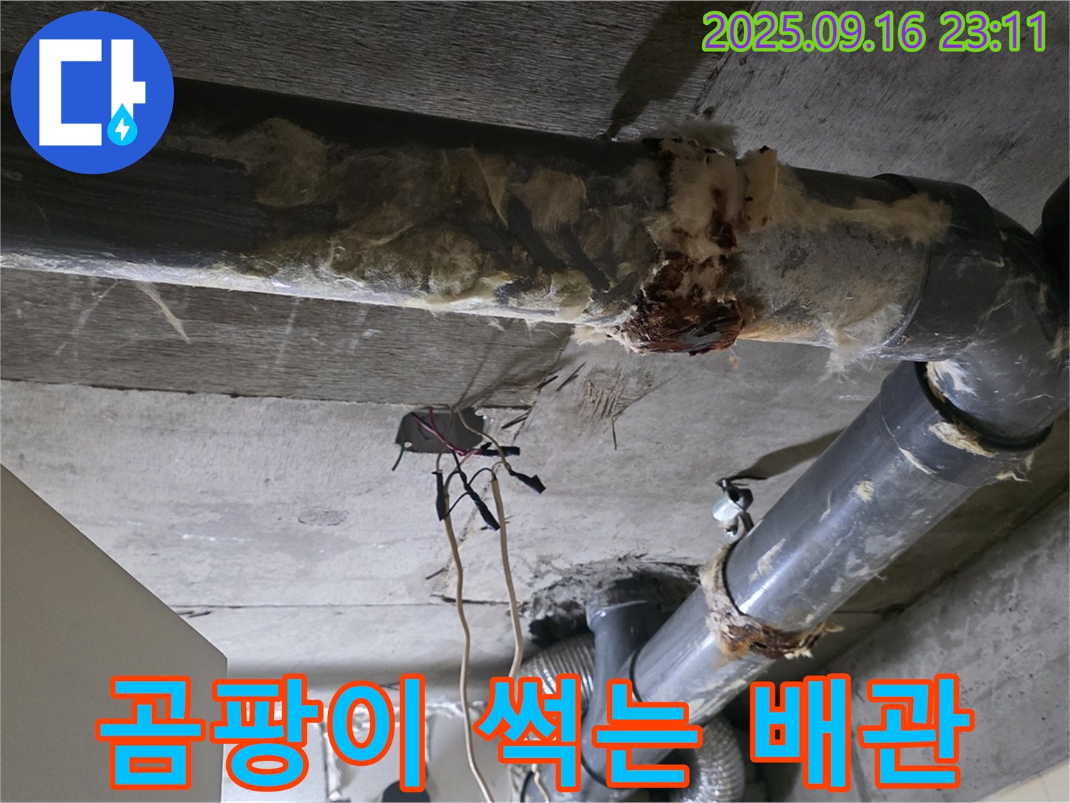 은평구 신사동 새절역 현대아파트 누수 - 곰팡이와 함께 썩어가는 배관의 모습입니다.