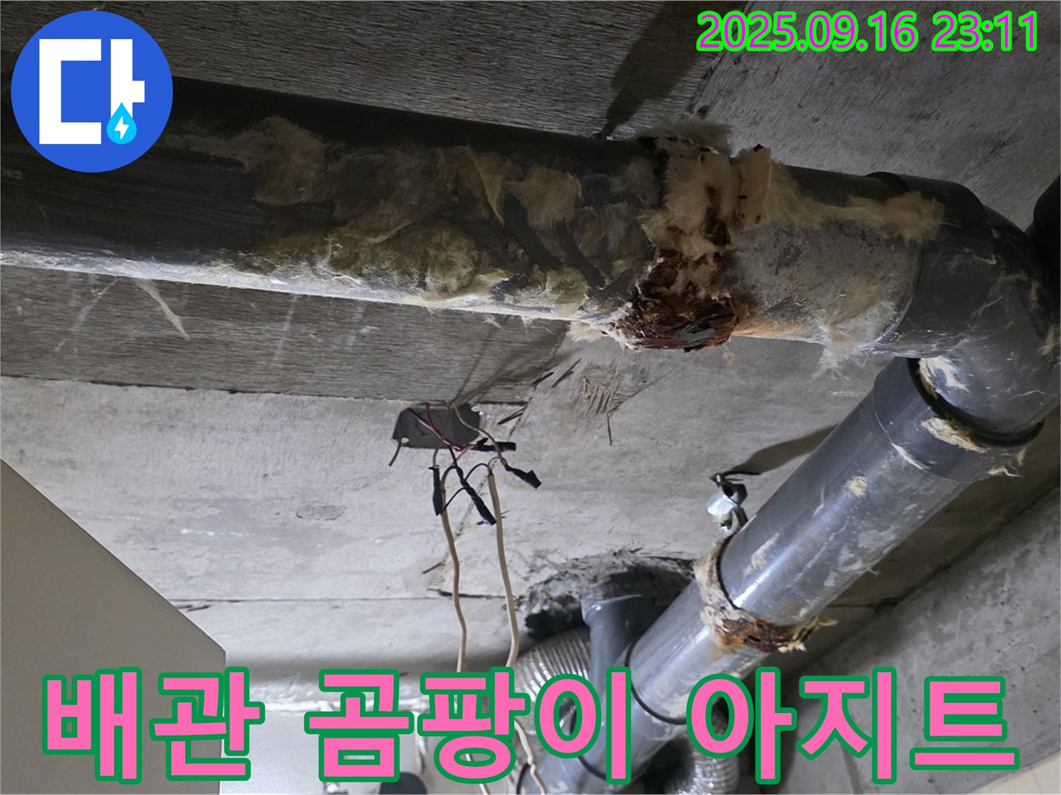 은평구 신사동 새절역 현대아파트 누수 - 낡은 배관은 곰팡이에게 편안한 아지트와 같습니다.