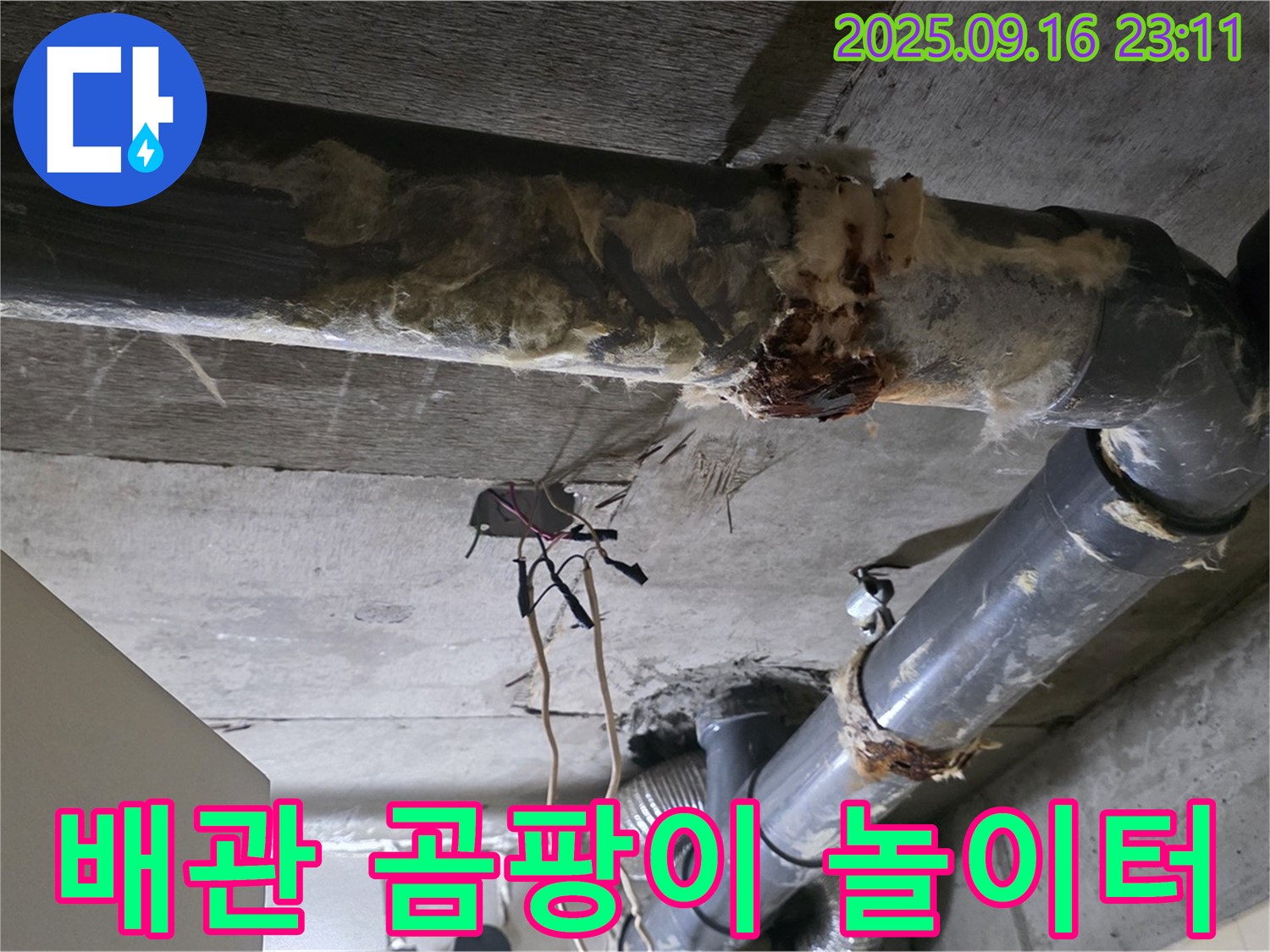 은평구 신사동 새절역 현대아파트 누수 - 낡은 배관은 곰팡이에게는 놀이터와 같습니다.