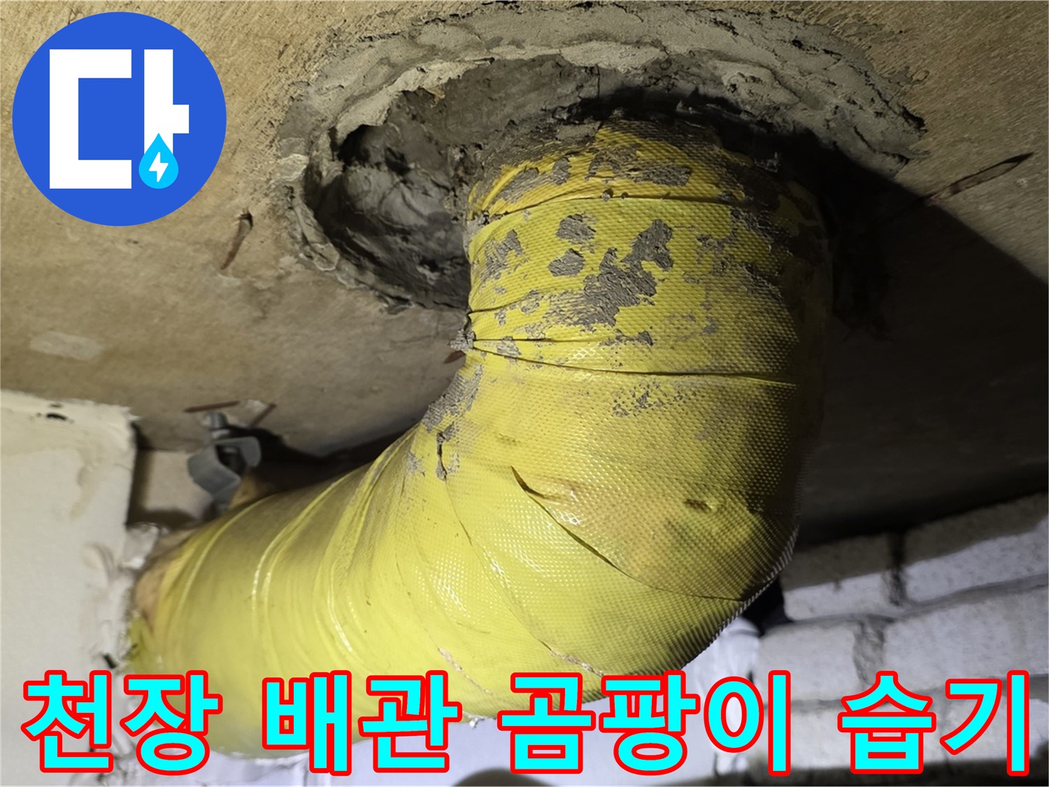 은평구 - 천장 배관 연결 부위 곰팡이 - 습기, 누수 가능성 높음