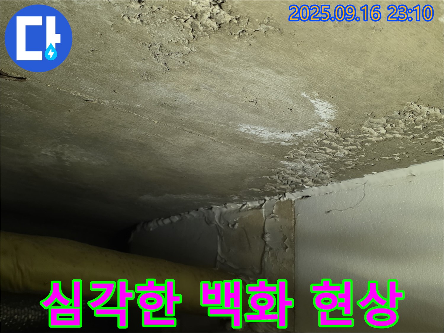 천장 누수 - 심각한 백화 현상으로 건물 손상 우려