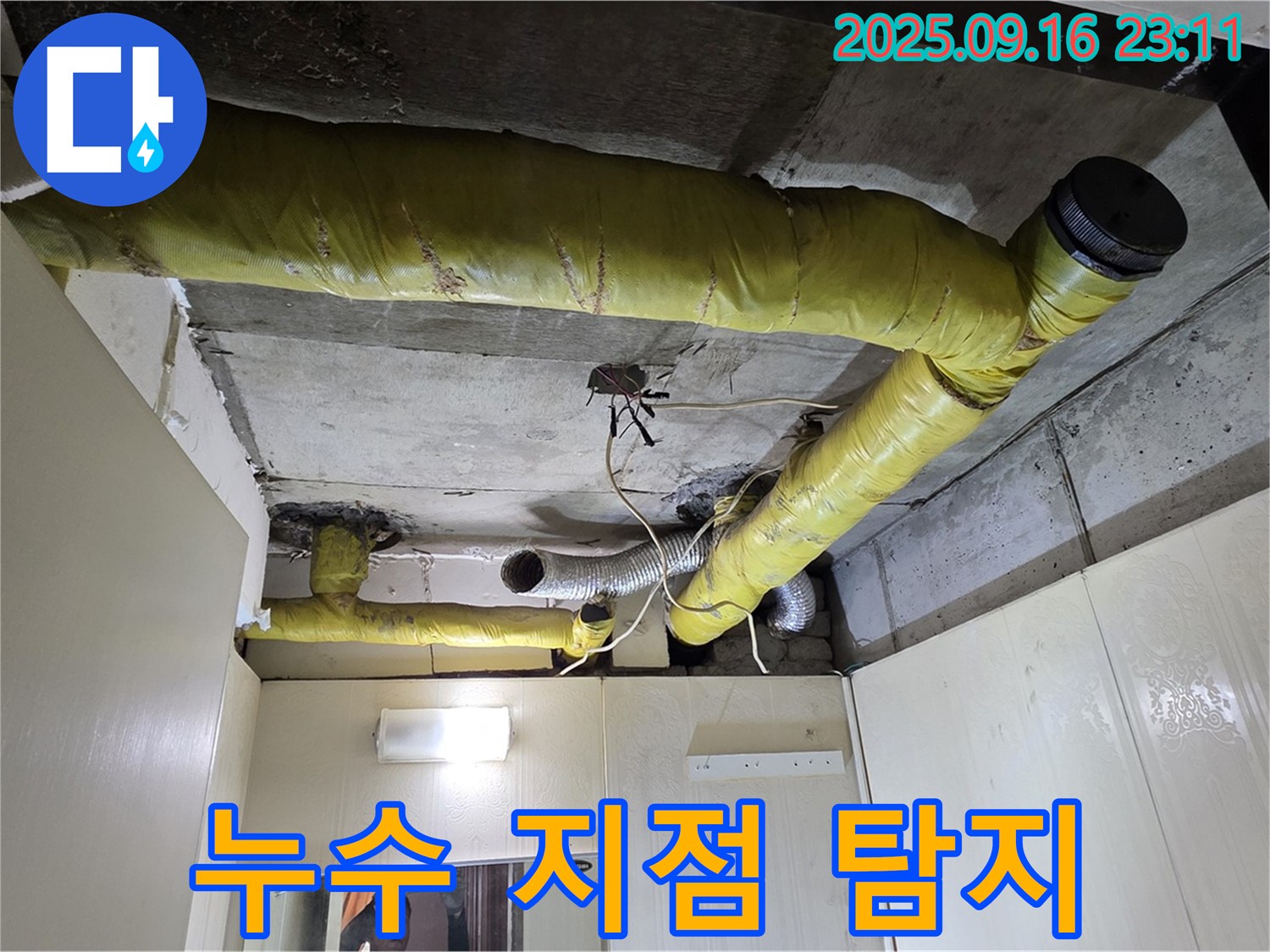 최첨단 장비 이용 누수 지점 탐지 - 신사동 아파트 누수