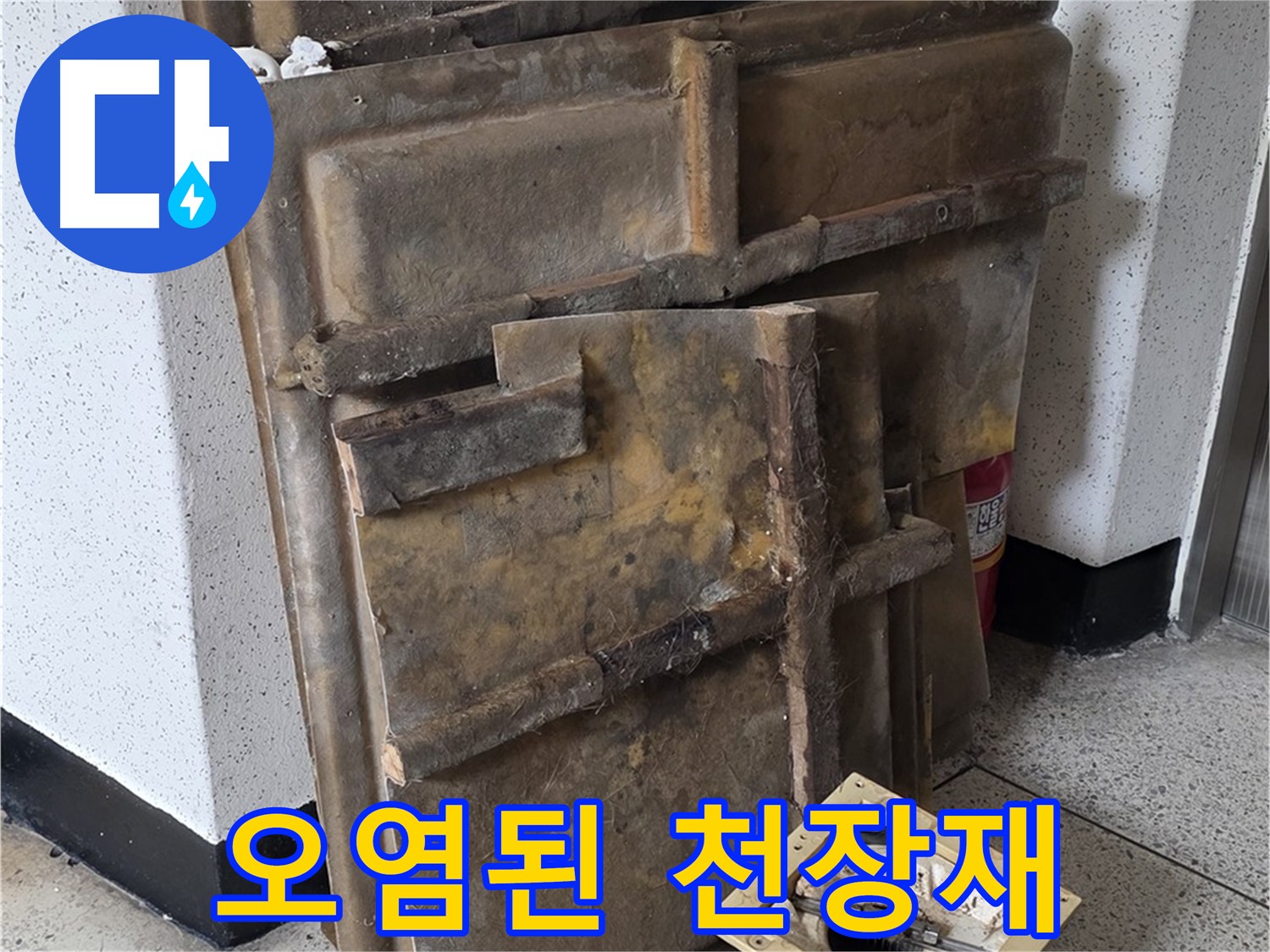 퀘퀘한 냄새를 풍기는 오염된 천장재와 조명 - 원인은 누수