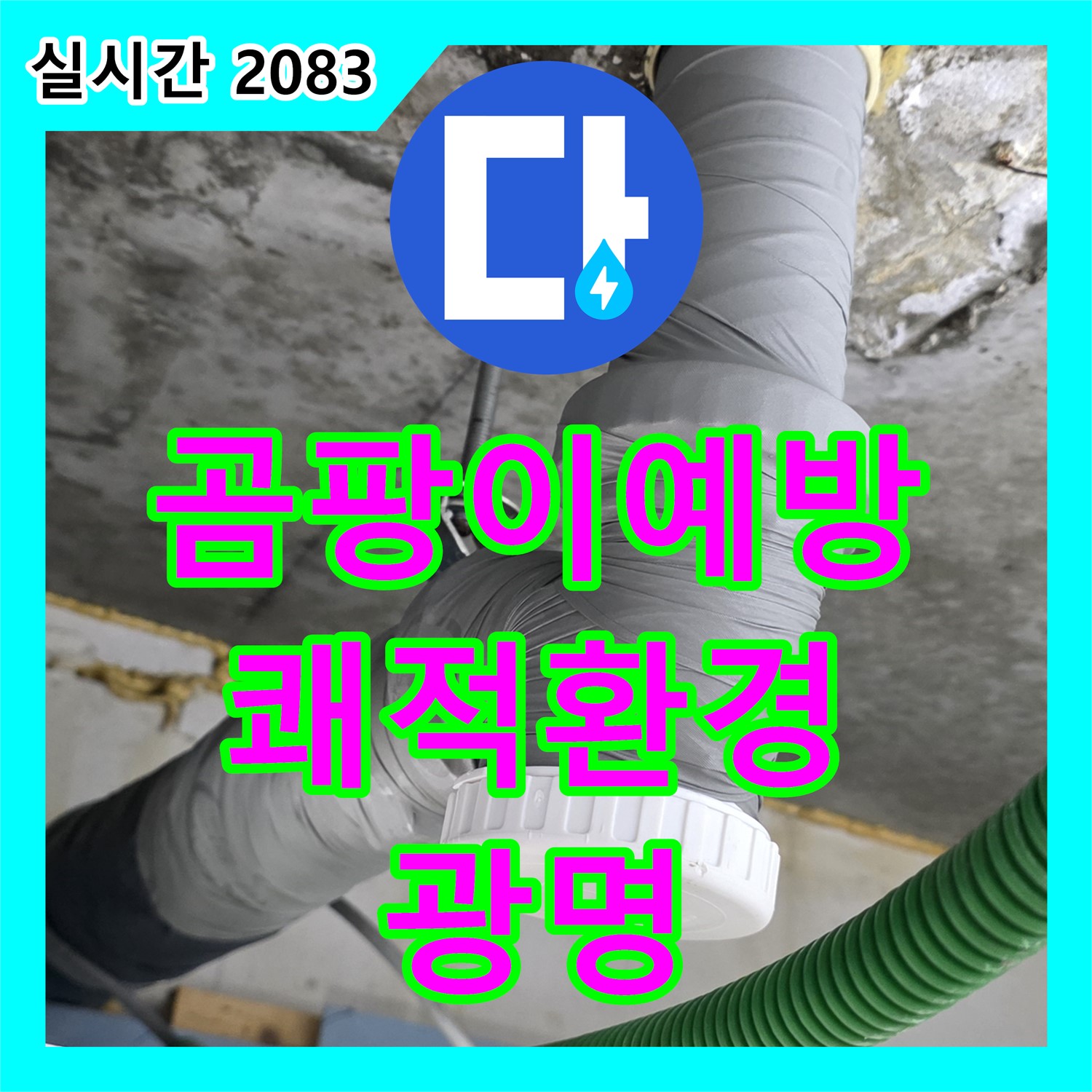 광명 누수공사비용, 합리적인 가격으로 곰팡이 걱정 없는 쾌적한 환경 조성