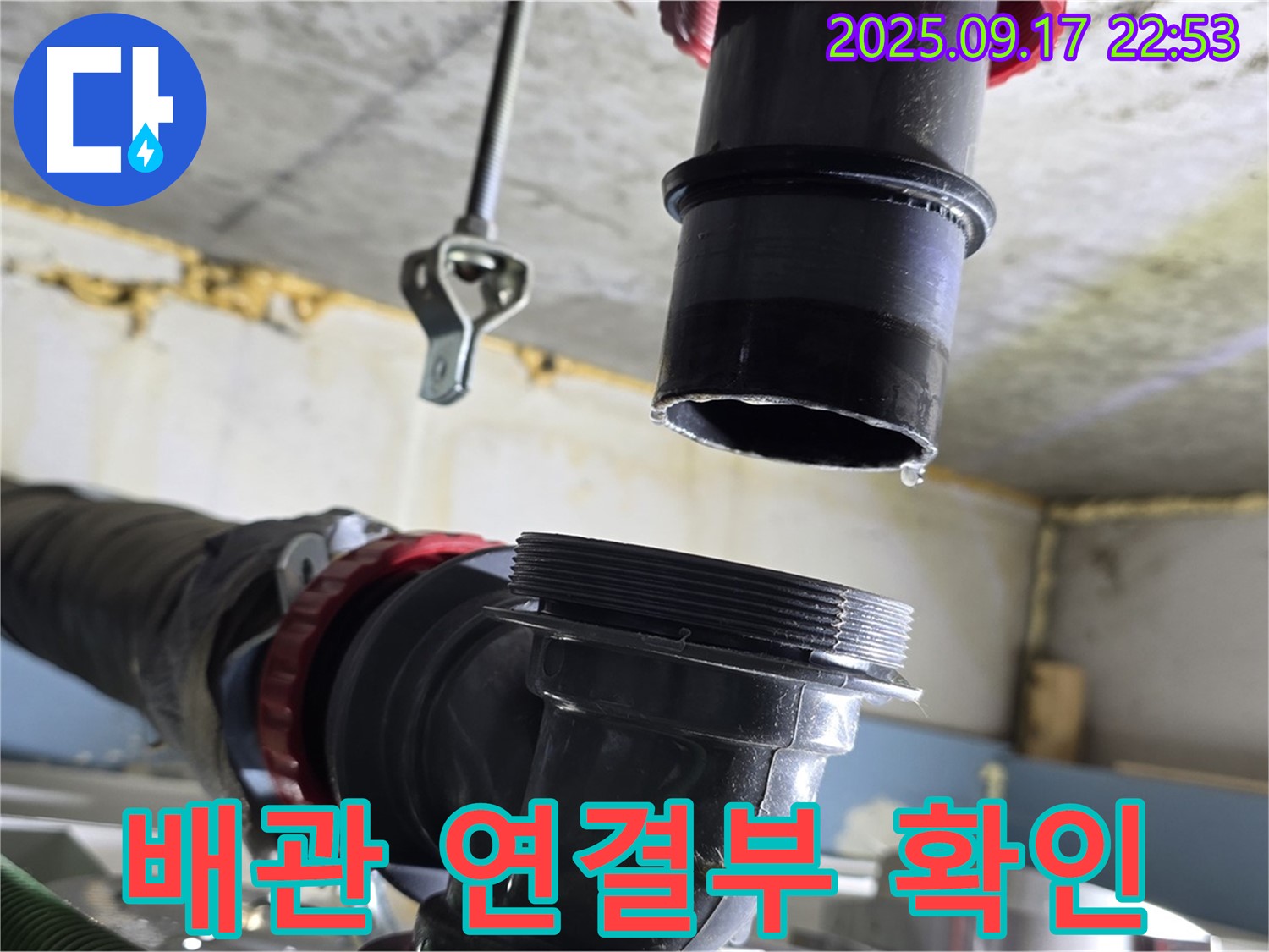 싱크대 하수구 배관 연결부 확인 - 하수구 배관의 연결 상태를 집중적으로 확인하고 있습니다.