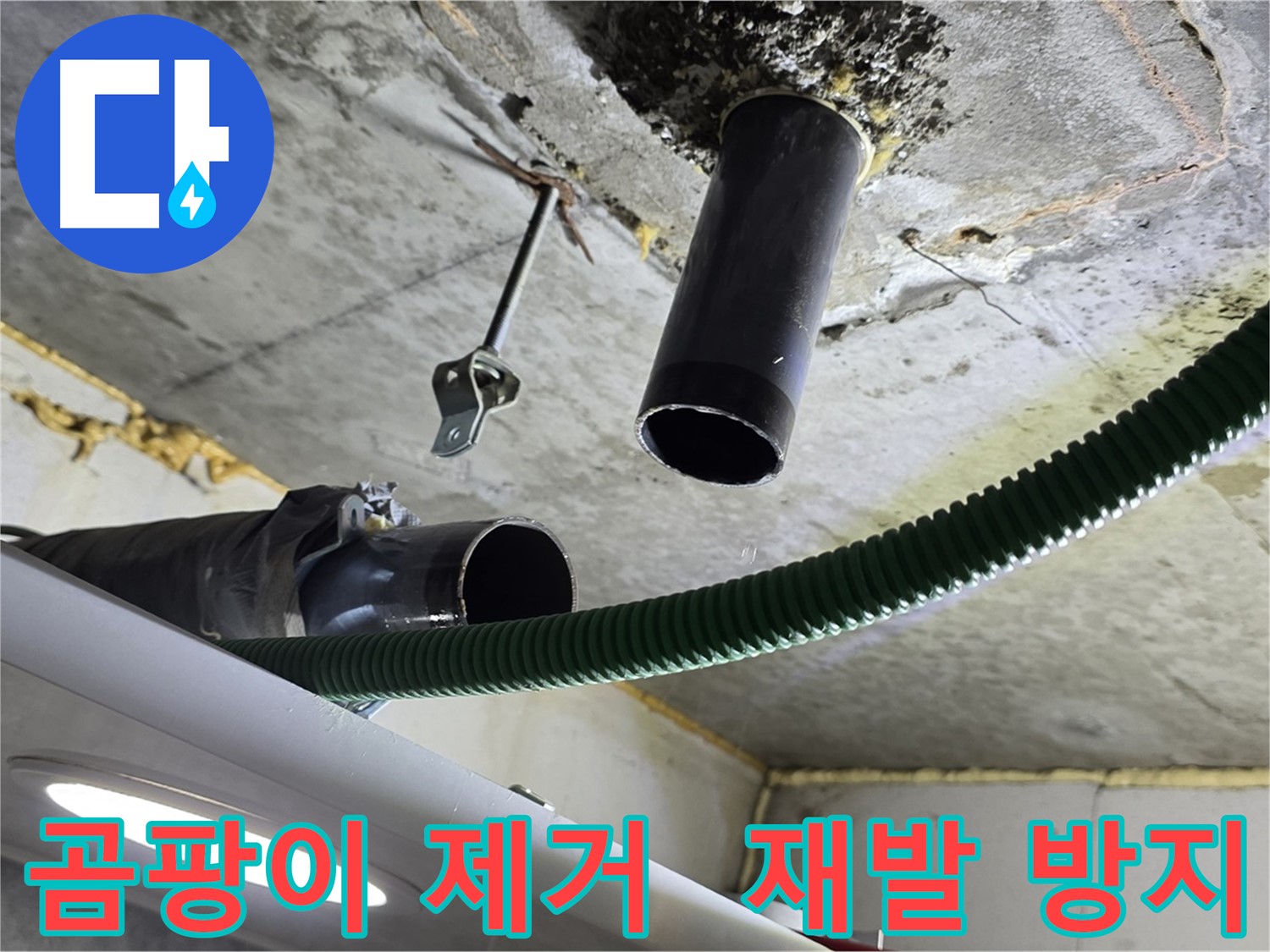 철산동 누수 - 천장 배관 연결 부위 주변 곰팡이 제거 후 재발 방지
