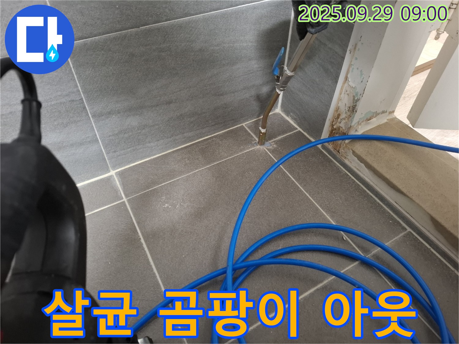 고온 살균 곰팡이 아웃 - 틈새 곰팡이를 제거하고 누수를 방지합니다.