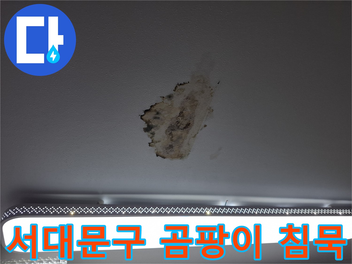 곰팡이 천장 - 침묵을 깰 시간입니다