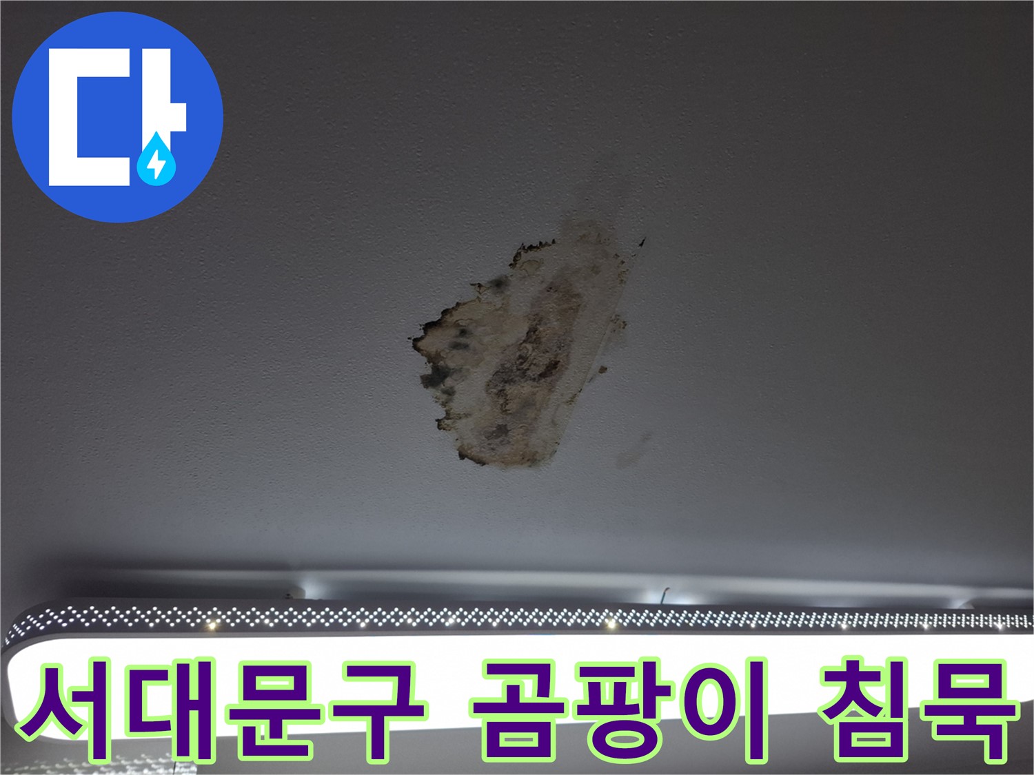 곰팡이 천장 - 침묵을 깰 시간입니다