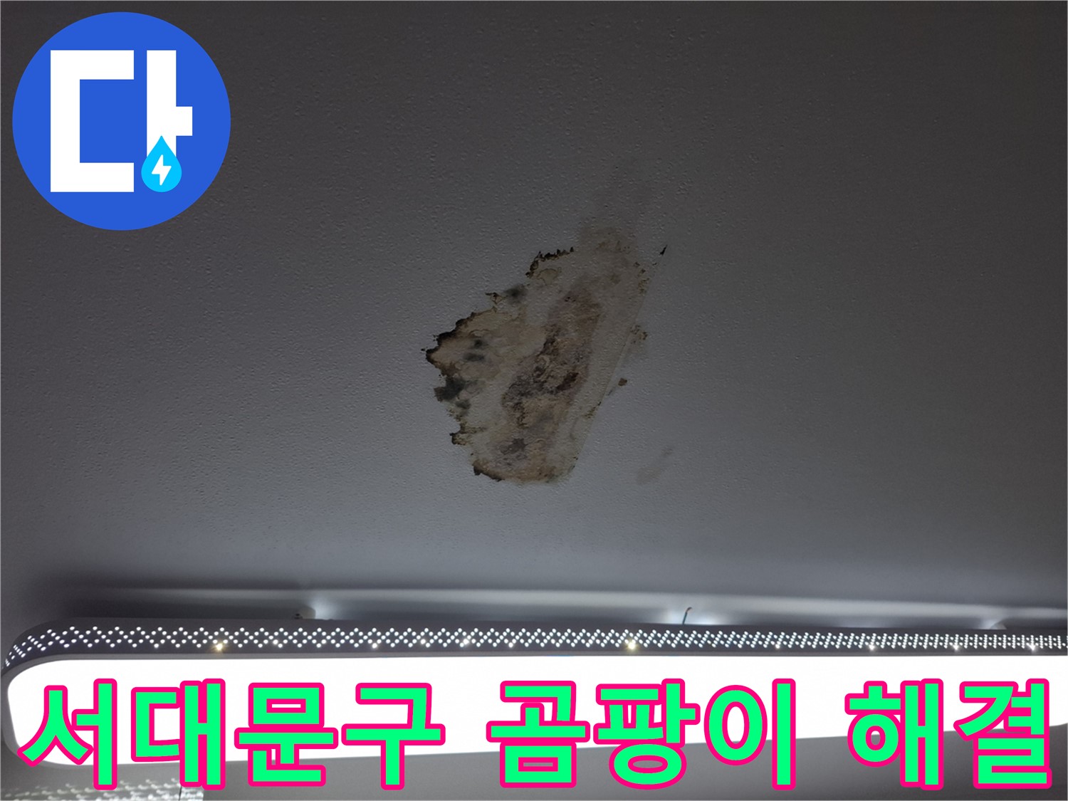 곰팡이 핀 천장 - 침묵을 깨고 해결하세요