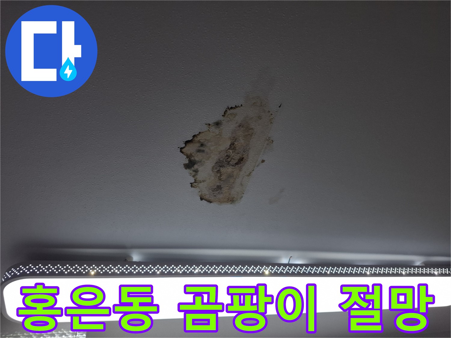 곰팡이 가득 찬 천장 - 절망에서 벗어나세요