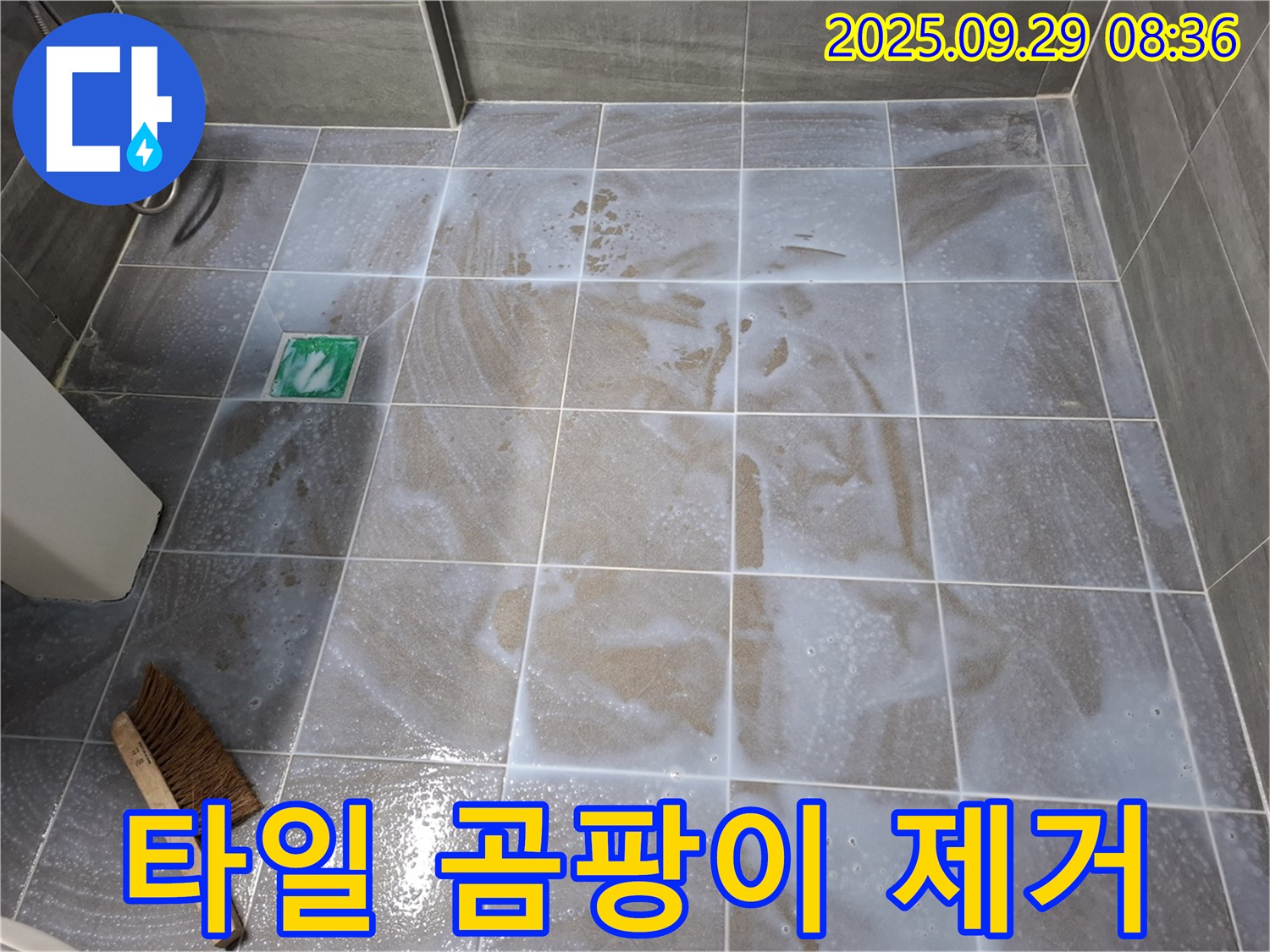 타일 틈새 - 곰팡이 싹 제거로 쾌적하게