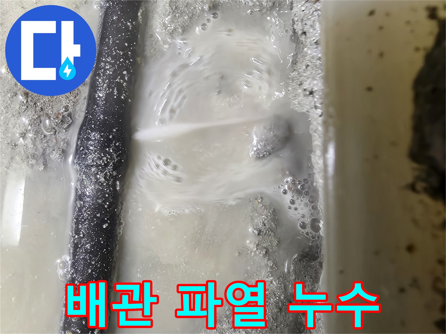 관악구 당곡동 누수 현장 - 낡은 배관이 터져 누수가 심각한 모습