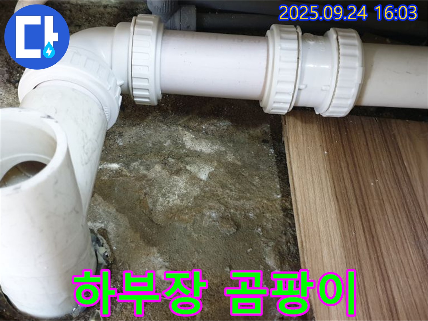 월계3동 - 싱크대 하부장 곰팡이 - 곰팡이 제거와 방수 처리로 누수 해결