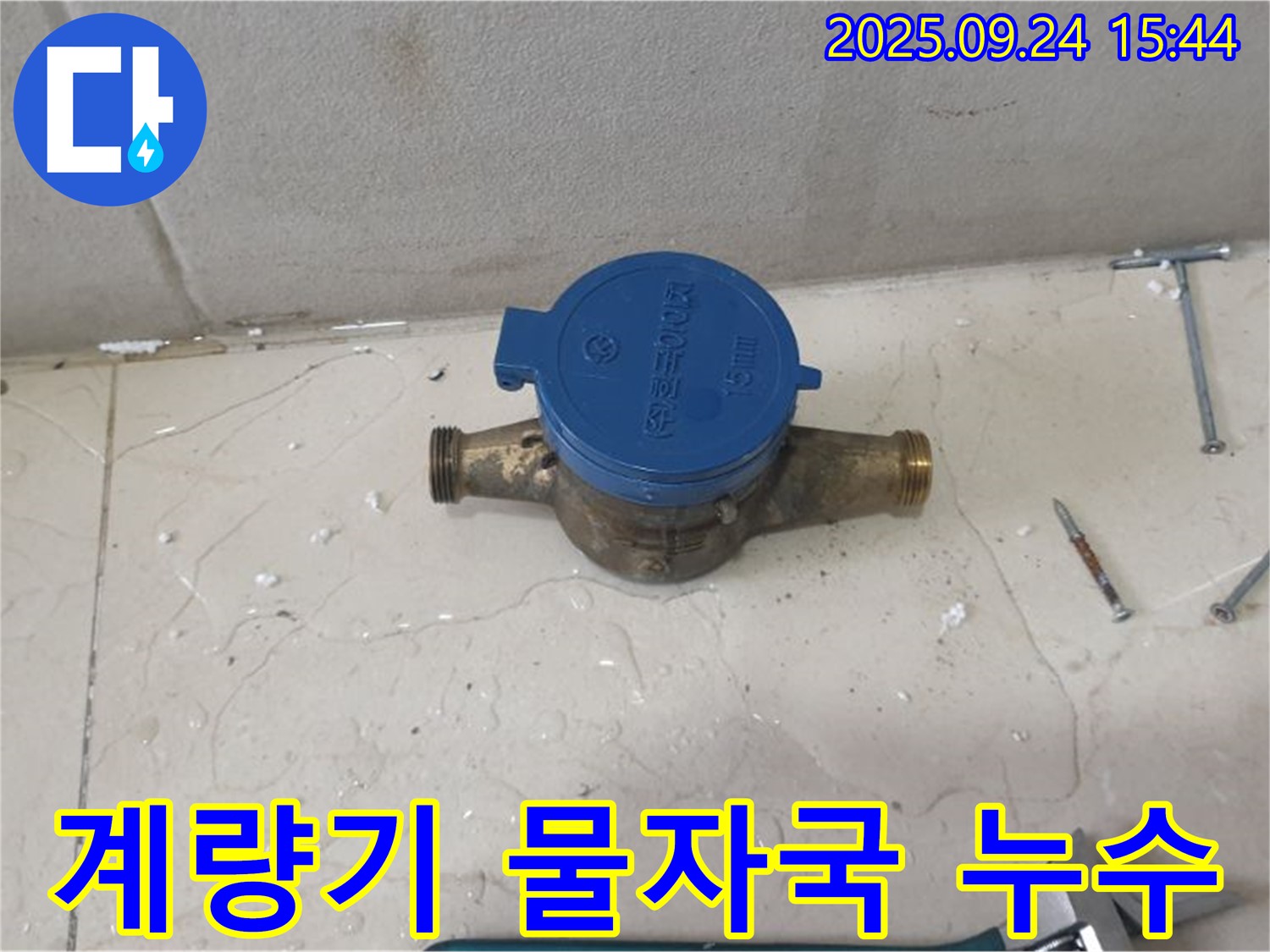 공릉1동에서 계량기 주변 물 자국 발견 - 누수 가능성을 의심하고 꼼꼼하게 점검하는 모습입니다.