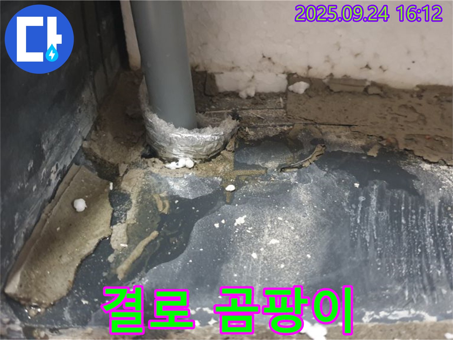 노원구 공릉동 결로 - 결로로 인한 곰팡이 발생 문제를 해결하고 쾌적한 환경을 만들어 드립니다.