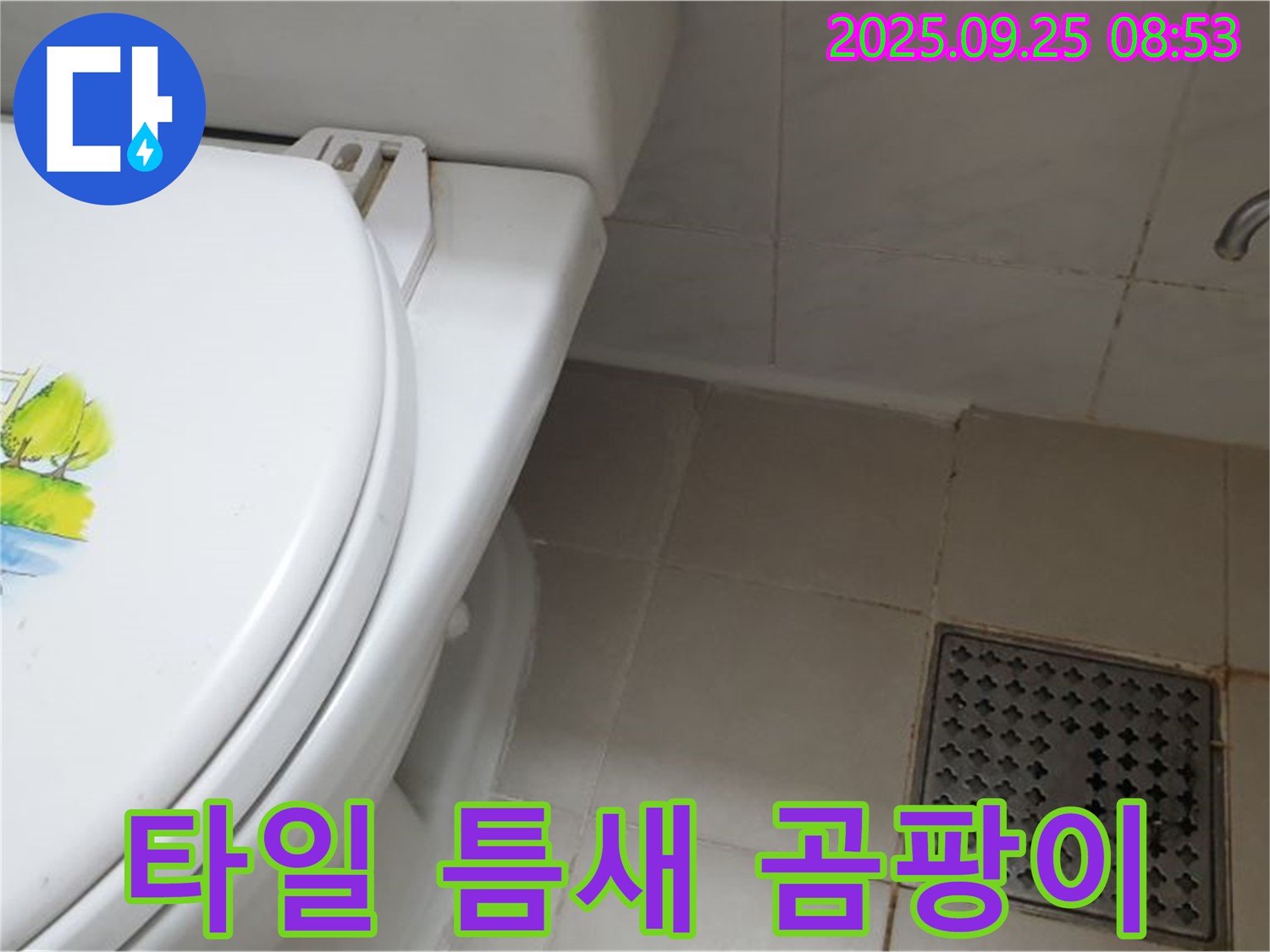 양주시 광적면 가납리 변기 누수 - 타일 틈새 곰팡이는 누수의 신호일 수 있습니다!