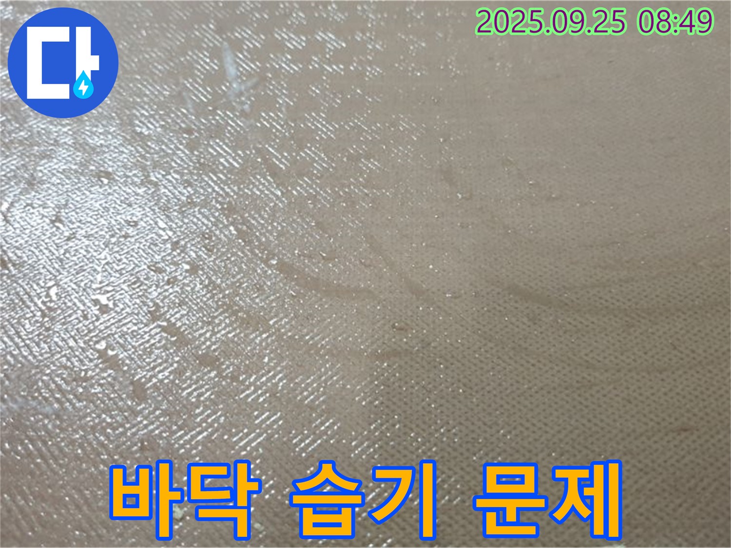 양주시 백석읍 연곡리 누수 - 바닥 습기 문제, 누수탐지부터 보수까지 원스톱으로 해결해 드립니다.