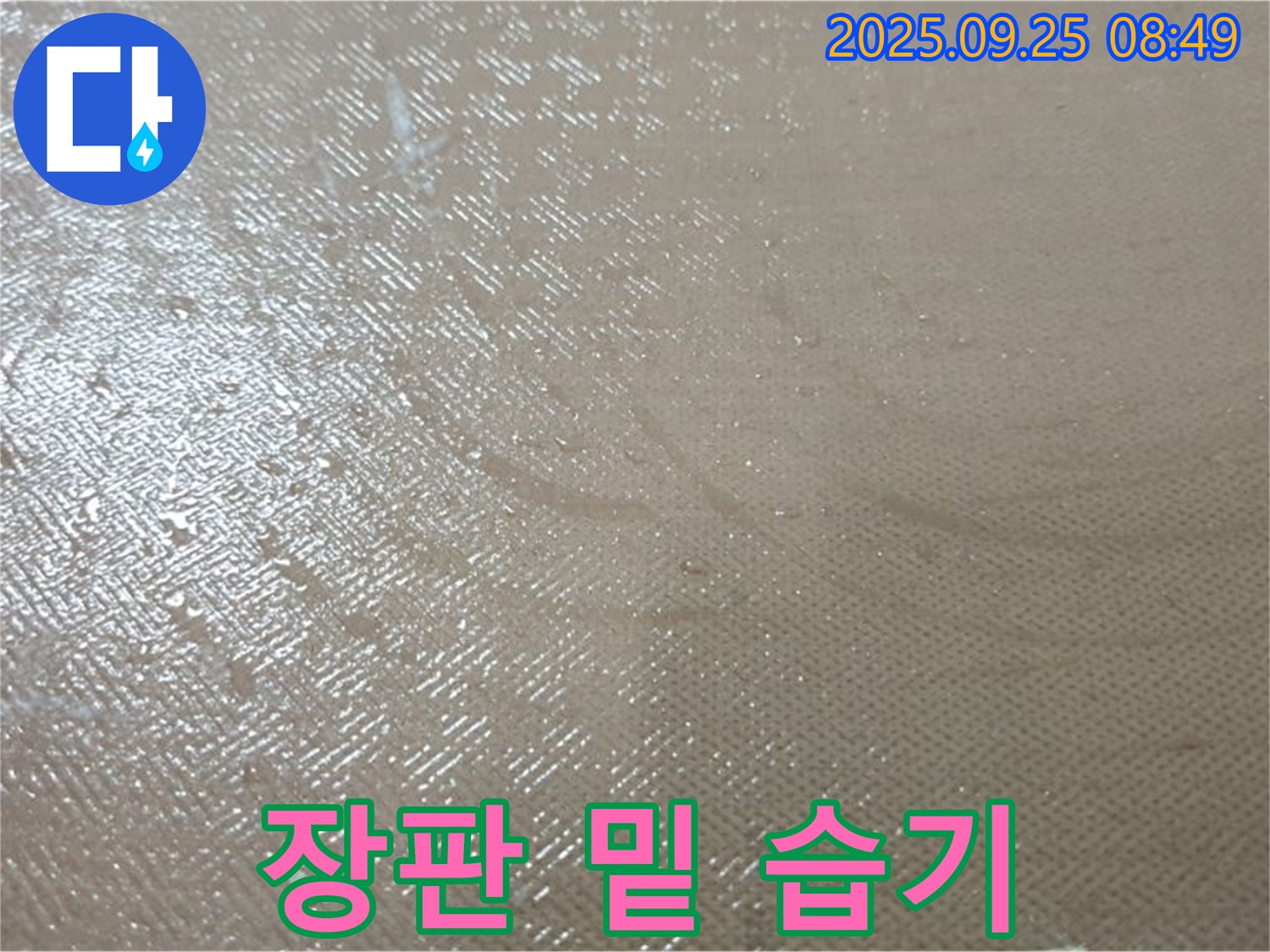 양주시 백석읍 연곡리 누수 - 장판 밑 습기, 2차 피해를 막기 위해 서둘러 점검하세요.