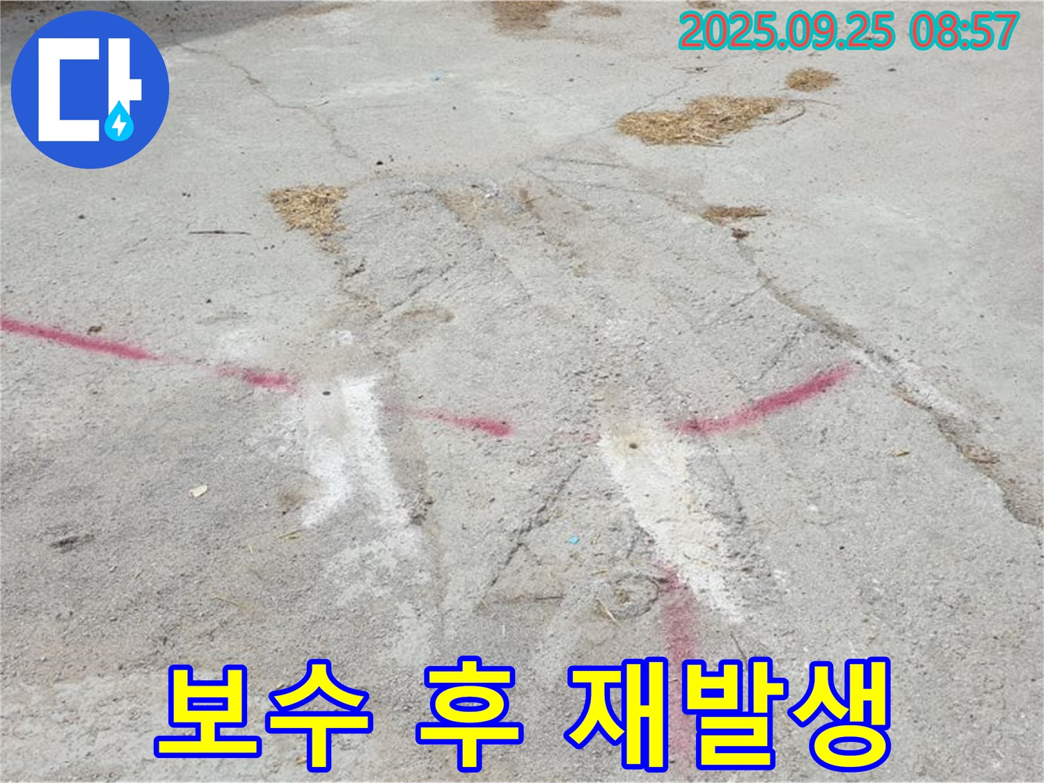 바닥 균열 보수 후 누수 재발생 의심 - 양주시 백석2리 누수 탐지 현장