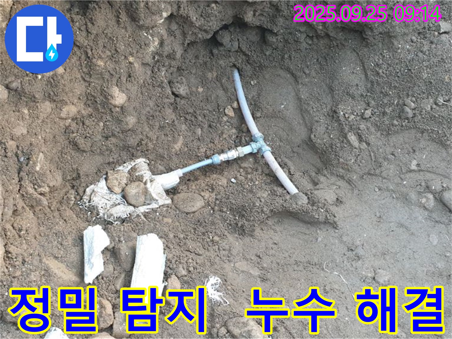양주 누수 탐지 현장 - 최신 누수 탐지 장비를 사용하여 땅속 누수 지점을 정확하게 찾아내는 모습입니다.
