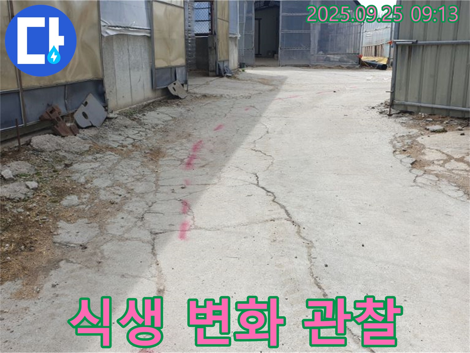 양주시 백석읍 복지리 누수 - 콘크리트 바닥의 붉은색 표시 주변 식생 변화를 주의 깊게 관찰하고 있습니다.