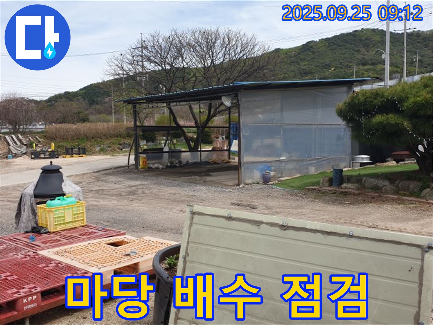 양주시 백석읍 복지리 누수 현장에서 마당 배수 시설을 점검하는 모습 - 물이 잘 빠지는지 확인!