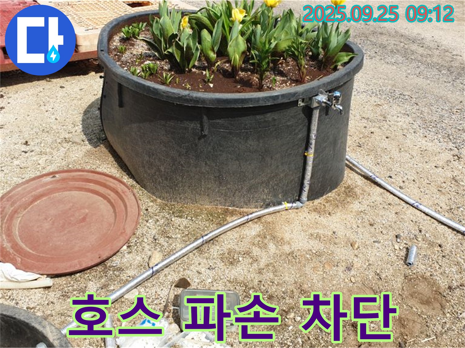 양주시 백석읍 화단 물탱크 누수 - 꼼꼼한 시공으로 호스 파손 누수를 완벽하게 차단하는 과정을 담았습니다.