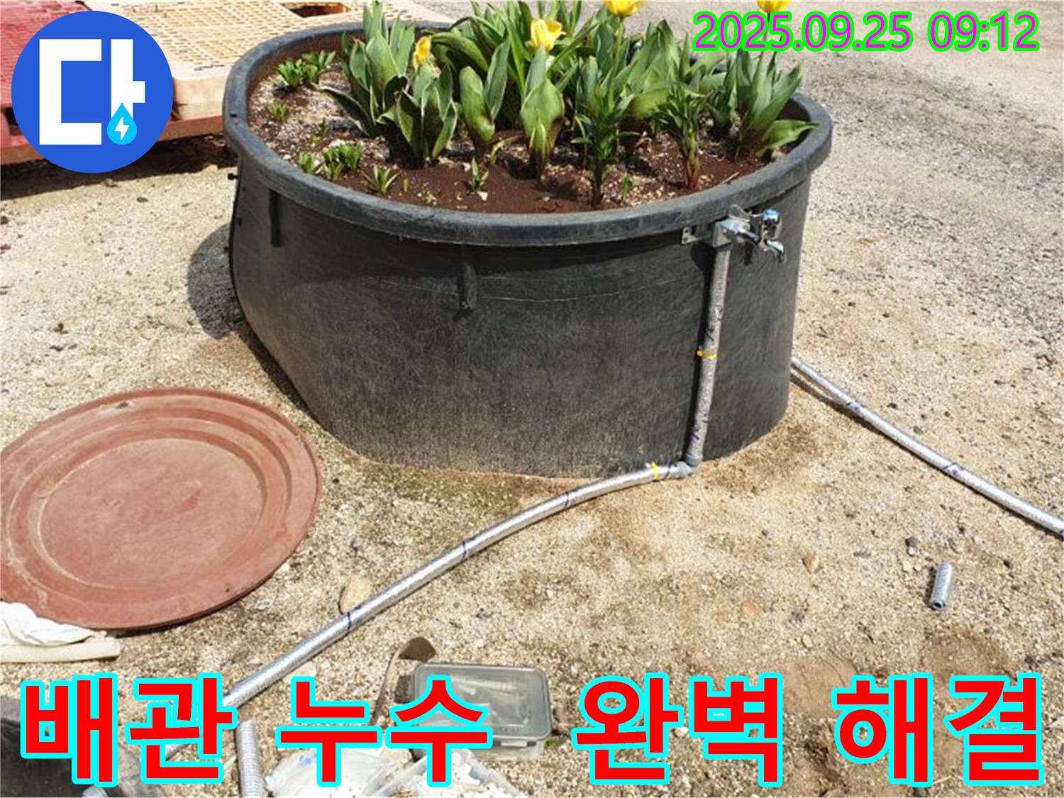 양주시에서 발생한 화단 물탱크 누수 - 전문 장비와 기술력으로 누수를 완벽하게 해결하는 과정을 담았습니다.